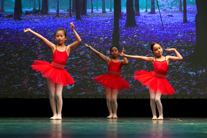 06_letzte_Einhorn_Y0A7020