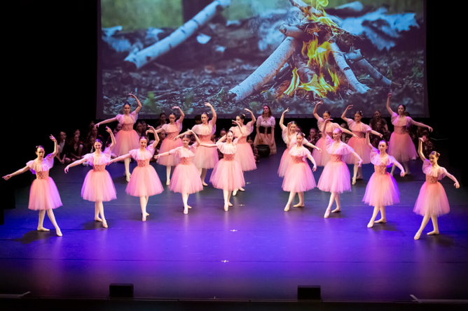 16_letzte_Einhorn_Y0A7607