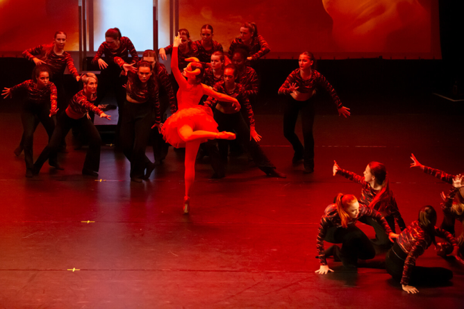 19_letzte_Einhorn_Y0A8129